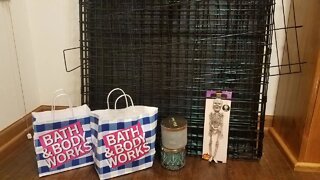 DUMPSTER DIVING HAUL AT BATH AND BODY WORKS AND PETCO!!!!