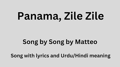 Zile Zile TikTok remix, song with lyrics and English meaning