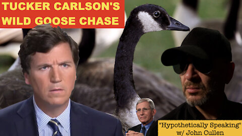 Tucker Carlson's Wild Goose Chase