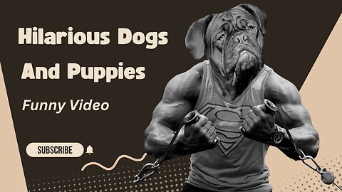 #Hilarious Dogs and Puppies Funny Video - 4 🐾🐶😂