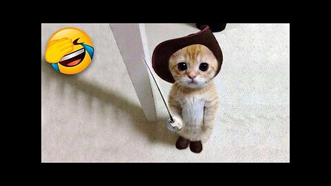 Funny Animals 2024 😂 Cute Cat And Dog Funny Videos 😸
