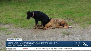 Police investigate deaths of two dogs