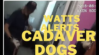 Cadaver dogs did they smell death in the Watts house ?