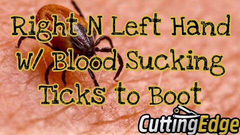 CuttingEdge: Right N Left-Handed Chaos With Bloodsucking Ticks To Boot (June 2, 2020)