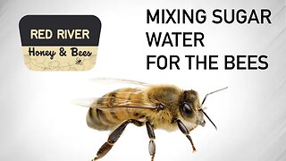 Mixing Sugar Water for Bees | Feeding Honey Bees | Red River Honey and Bees | Red River Gorge, KY