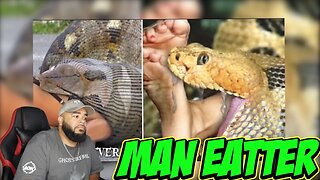 Top 10 Household Animals Who Ate Their Owners ( Viewer Discretion Is Advised )