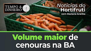 Volume maior de cenouras na BA. Preço da banana sobe no norte de MG