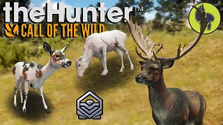 Diamond & Rare Montage #9 | theHunter: Call of the Wild (PS5 4K 60FPS)