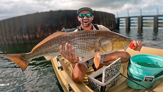 You DON'T Need a $50k Boat to Catch BIG FISH | 12' Plastic Jon Boat Fishing