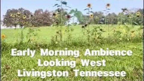 Early Morning Ambience 🌻 Looking West, Livingston Tennessee