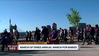 March for Dimes hold annual March for Babies