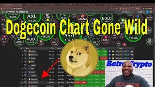 Dogecoin Chart Goes Wild - DOGE Price Surges and Plunges Day to Day