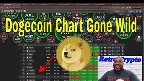 Dogecoin Chart Goes Wild - DOGE Price Surges and Plunges Day to Day