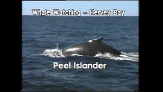 TVC - Whale Watching: Hervey Bay (1992)