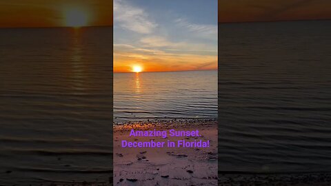 Unbelievable Sunset! December in Florida! #shorts