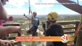 Predator Zip Lines: Summer fun for the family!