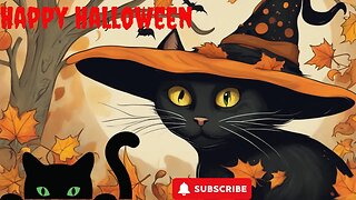 In Honor Of Halloween, Here Are Four Spooky Tales Of Black Cats!