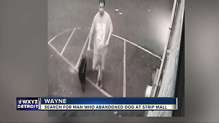 Search for man who abandoned dog at strip mall