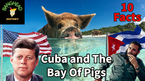 10 Facts Surrounding The Bay Of Pigs Invasion