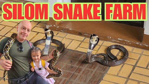 Discovering Exotic Snakes at Bangkok Snake Farm