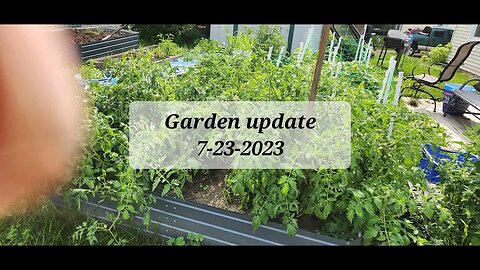 Garden update 7-23-2023