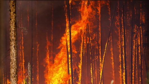 Campers Burning Human Waste Started 500-plus Acre Fire