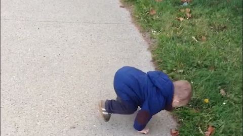 Dog Bark Scares Little Boy And He Falls On His face