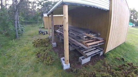 Planting Edible Hedgerow & Clearing Up Wood Piles