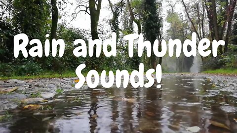 Mollify your stress level with rain and thunder sounds !