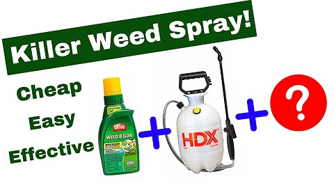KILL WEEDS, NOT THE LAWN - Cheap, Easy & Effective Mix With A Magic Ingredient!