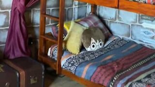 Leur maman leur fait une chambre à la "Harry Potter" !