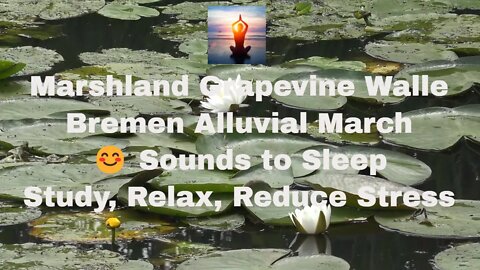 Marshland Grapevine Walle Bremen Alluvial March 😊 Sounds to Sleep, Study, Relax, Reduce Stress