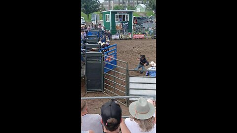 Bull Riding Hamel Rodeo