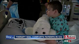 Therapy Seal Comforts Patients in ICU