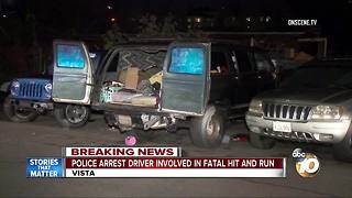 Police arrest driver involved in fatal hit-and-run