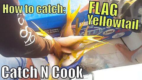 How to Catch FLAG Yellowtail Snapper Catch N Cook | Fishing with Craig Part 2