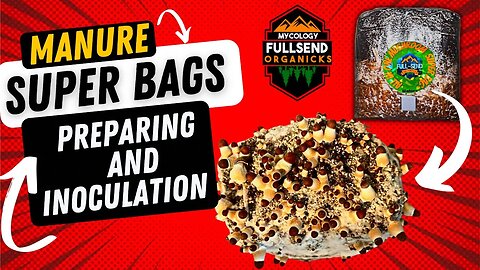 3 Layered All-In-One Manure based Mushroom super bag! Mushroom bag Tutorial for Any Skill Level!!
