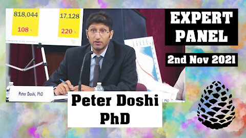 Peter Doshi PhD (Expert Panel on Federal Vaccine Mandates) Pinecone