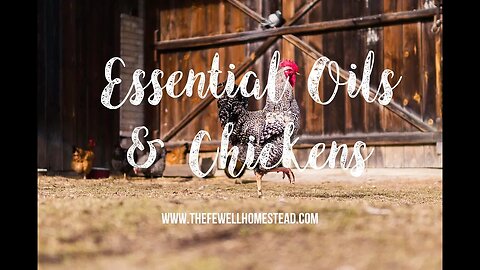 Essential Oils and Chickens