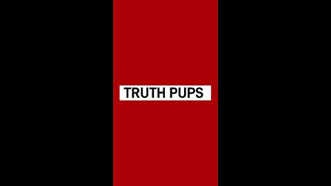 Truth Pups update