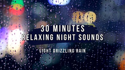 30 Minutes of Relaxing Night Sounds - Light Drizzling Rain