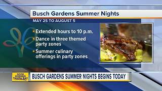 Busch Gardens Summer Nights begins Friday, May 25