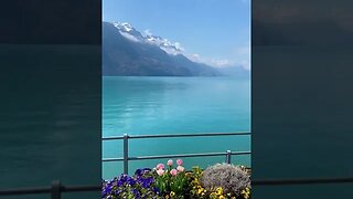 Lake Brienz 🇨🇭 #lakebrienz #switzerland #shorts