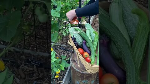 June Garden Harvest: Zone 9b