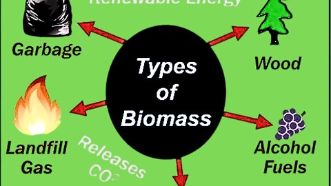 what is biomass | (Renewable Energy Source ⚠️) | Is Solar Safe a Game-Changer - Solar Safe