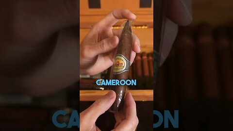 Another Lovely Cameroon Option #cigar #cigars #luxury