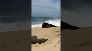 HUGE CABO WAVES