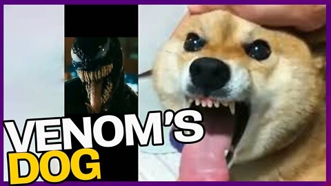 Venom's Dog