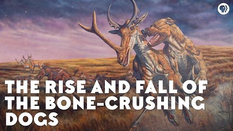 The Rise and Fall of the Bone-Crushing Dogs