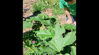 #ladybug sighting #grands #tamararoseblodgett